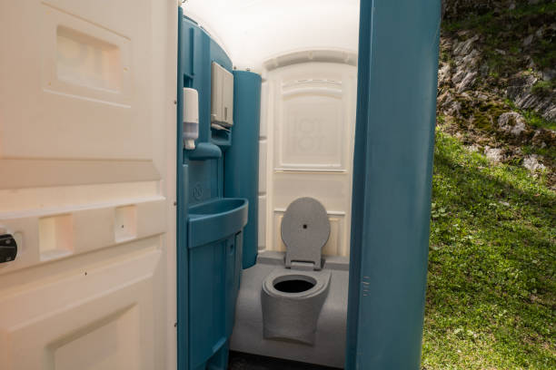 Best Local porta potty services  in Mount Clemens, MI